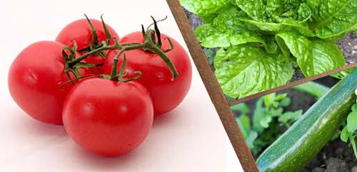 ΛΑΧΑΝΙΚΑ ΘΕΡΜΟΚΗΠΙΟΥ