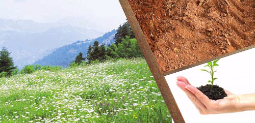 ΑΓΡΟΙ ΚΑΙ ΕΔΑΦΟΣ