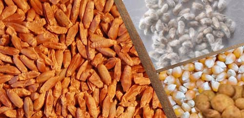 ΣΠΟΡΟΙ ΓΙΑ ΣΠΟΡΑ