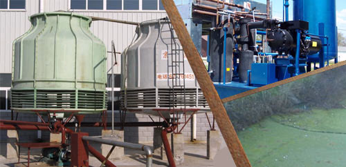 Γλοιοκτόνα