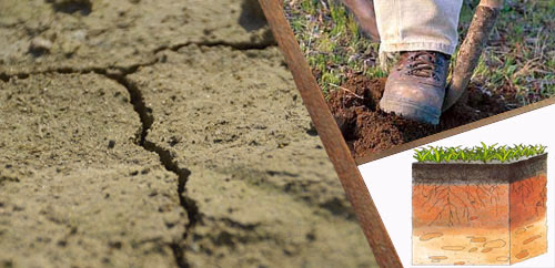 Εδαφολογία