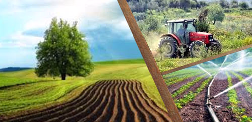 Κανονισμοί / Ενημερωτικά δελτία