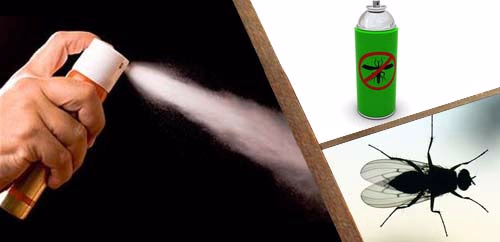 Υγειονομικά εντομοκτόνα