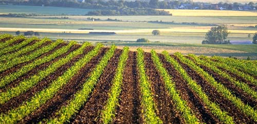 ΟΛΕΣ ΟΙ ΚΑΛΛΙΕΡΓΕΙΕΣ