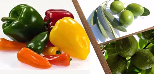 Σύνδεσμος για Καλλιέργειες - Φυτά