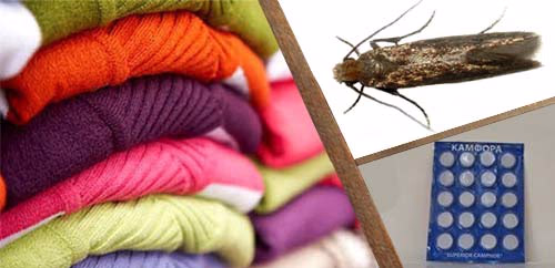 Σκοροκτόνα