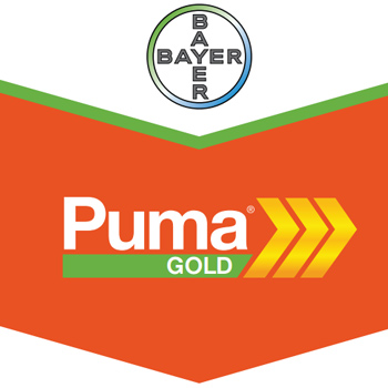 puma gold bayer